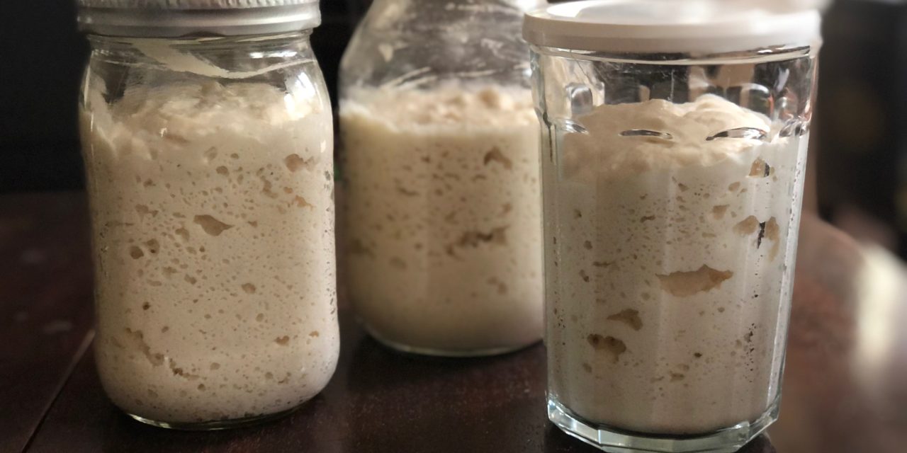 Gluten Free Sourdough Starter