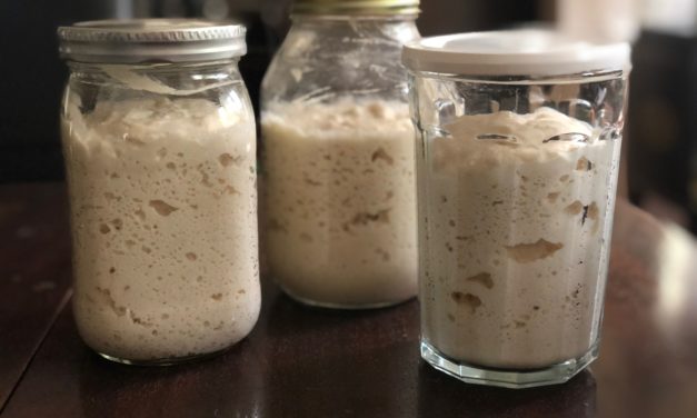 Gluten Free Sourdough Starter