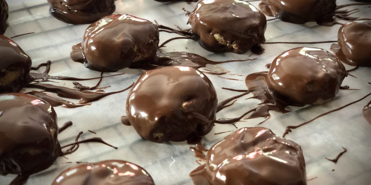 Chocolate Protein Bites