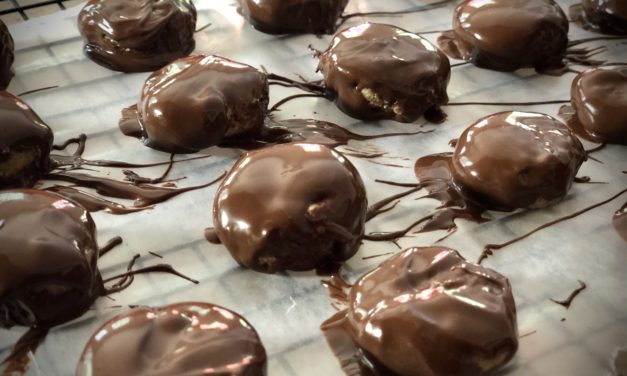 Chocolate Protein Bites